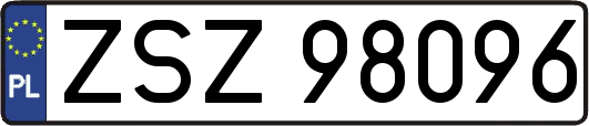 ZSZ98096