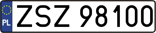 ZSZ98100