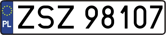 ZSZ98107