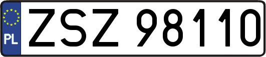 ZSZ98110