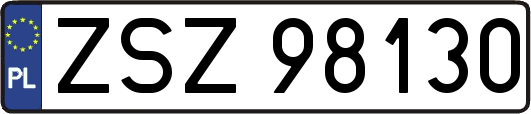 ZSZ98130