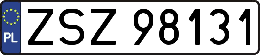 ZSZ98131