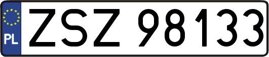 ZSZ98133