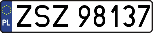 ZSZ98137