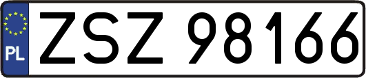 ZSZ98166