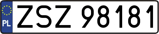 ZSZ98181