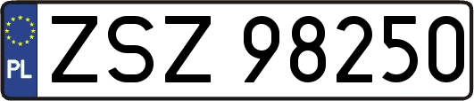 ZSZ98250