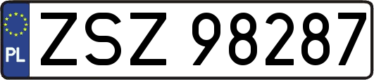 ZSZ98287