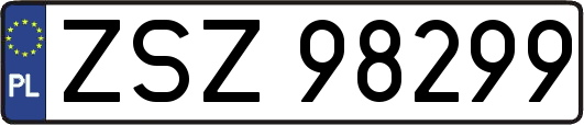 ZSZ98299