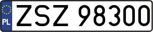ZSZ98300