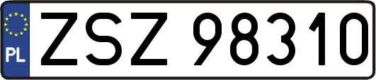 ZSZ98310