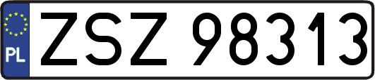 ZSZ98313