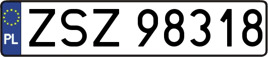ZSZ98318