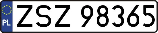 ZSZ98365