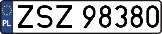 ZSZ98380
