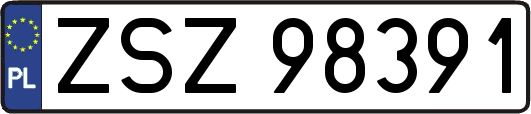 ZSZ98391