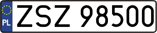 ZSZ98500