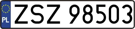 ZSZ98503