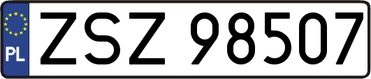 ZSZ98507