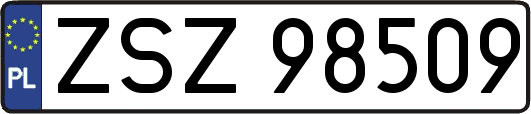 ZSZ98509