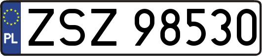 ZSZ98530