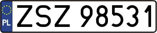 ZSZ98531