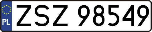 ZSZ98549