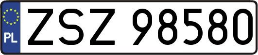ZSZ98580