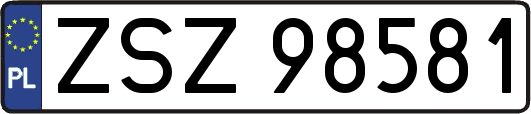 ZSZ98581