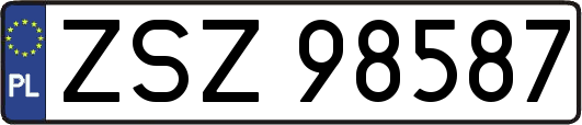 ZSZ98587