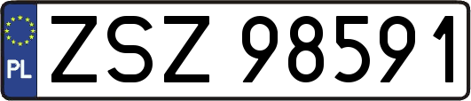 ZSZ98591