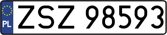 ZSZ98593