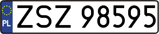 ZSZ98595