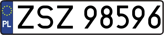 ZSZ98596