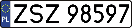 ZSZ98597
