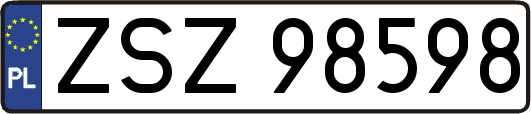ZSZ98598