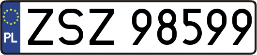 ZSZ98599