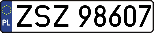 ZSZ98607