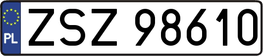 ZSZ98610