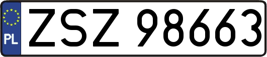 ZSZ98663