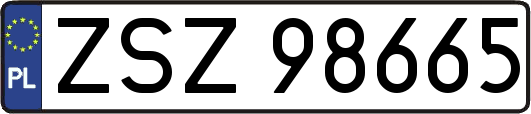 ZSZ98665