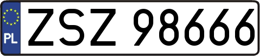 ZSZ98666
