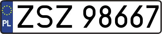 ZSZ98667