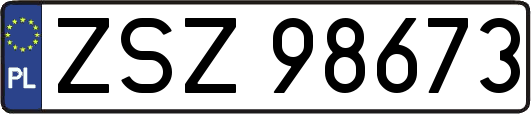 ZSZ98673