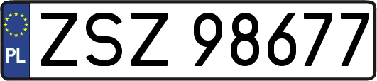 ZSZ98677