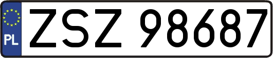 ZSZ98687