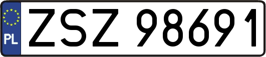 ZSZ98691