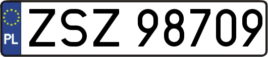ZSZ98709