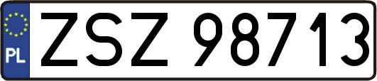 ZSZ98713