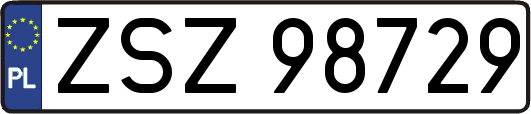 ZSZ98729